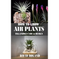How to Grow Air Plants: Tillandsia Care and Design