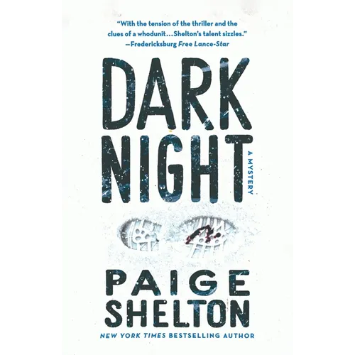 Dark Night: A Mystery