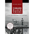 12 Million Black Voices