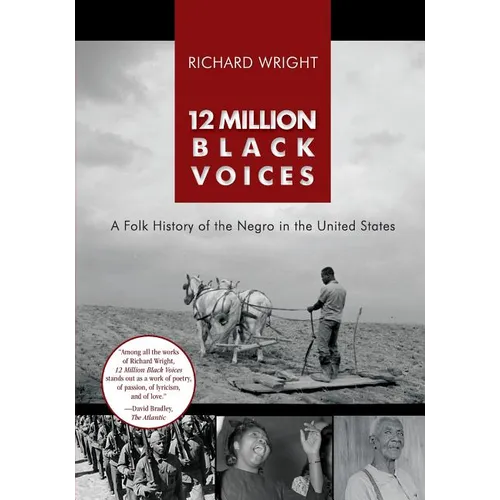 12 Million Black Voices