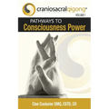CRANIOSACRALQIGONG Volume 1: Pathways To Consciousness Power