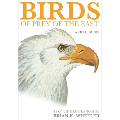 Birds of Prey of the East: A Field Guide