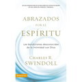 Abrazados por el Espíritu Softcover Embraced by the Spirit