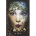 Hidden City