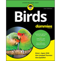 Birds for Dummies