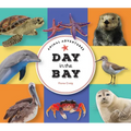 Animal Adventures: Day in the Bay