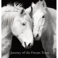 Journey of the Dream Team