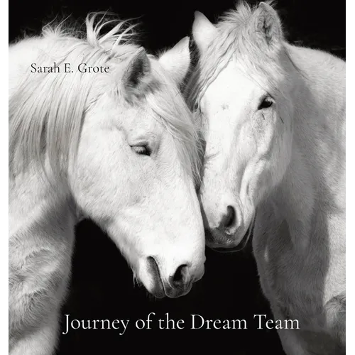 Journey of the Dream Team