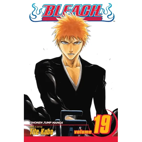 Bleach, Vol. 19: The Black Moon Rising