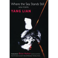 Where the Sea Stands Still