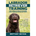 Labrador Retriever Training: The Ultimate Guide to Training Your Labrador Retriever Puppy: Includes Sit, Stay, Heel, Come, Crate, Leash, Socialization