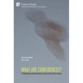 What are Coincidences? A Philosophical Guide Between Science and Common Sense