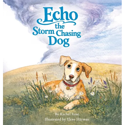 Echo the Storm Chasing Dog