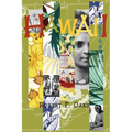 Hawaii: A History of the Big Island