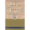 What Do Jews Believe?: The Spiritual Foundations of Judaism