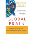 Global Brain: The Evolution of the Mass Mind from the Big Bang to the 21st Century