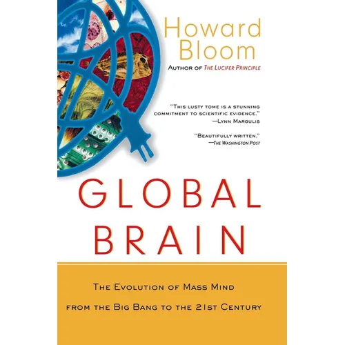 Global Brain: The Evolution of the Mass Mind from the Big Bang to the 21st Century