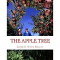 The Apple Tree: A Guide To Growing Apples At Home
