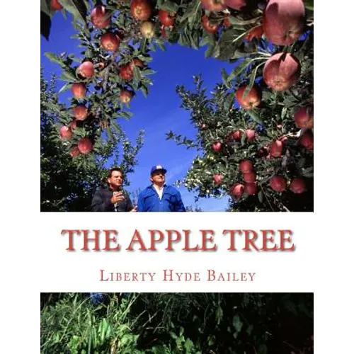 The Apple Tree: A Guide To Growing Apples At Home