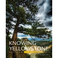 Knowing Yellowstone: Science in America's First National Park