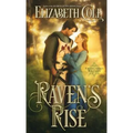 Raven's Rise: A Medieval Romance