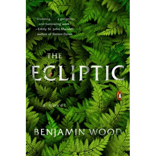 The Ecliptic