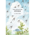 The Life of the Spider
