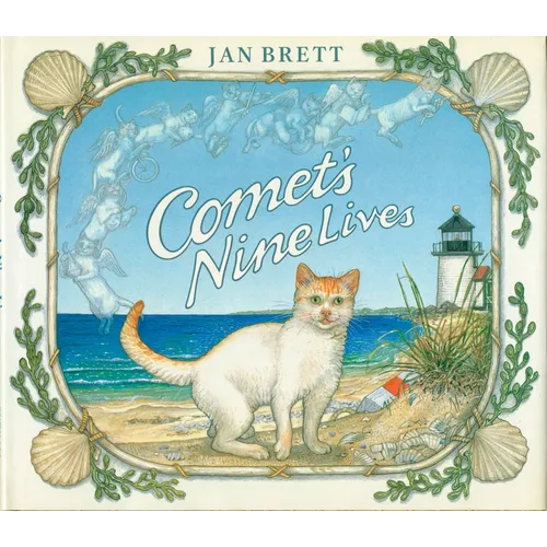 Comet's Nine Lives
