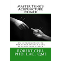 Master Tung's Acupuncture Primer: An introduction to the Master Tung Acupuncture system