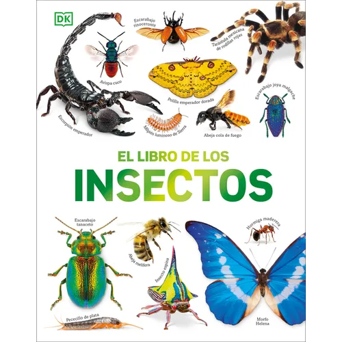 El Libro de Los Insectos (Bugs, Butterflies, Beetles and Bees)