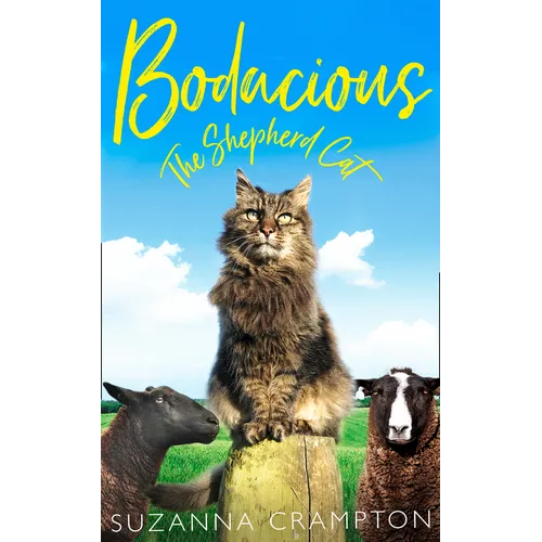Bodacious: The Shepherd Cat