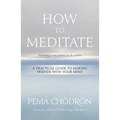 How to Meditate: A Practical Guide to Making Friends with Your Mind