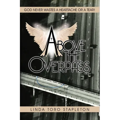 Above the Overpass