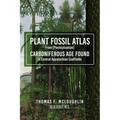 Plant Fossil Atlas From (Pennsylvanian) Carboniferous Age Found in Central Appalachian Coalfields