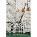 Anthropocene Affordances: Scale, Narrative Form, and the Human in Us-American Literature