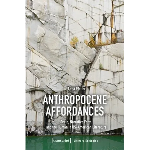 Anthropocene Affordances: Scale, Narrative Form, and the Human in Us-American Literature