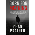 Born For Meaning: Walking Through The Ashes Toward Unbreakable Joy