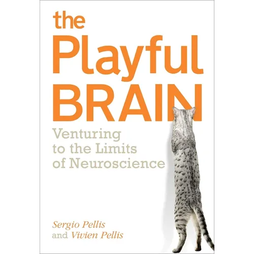 Playful Brain: Venturing to the Limits of Neuroscience