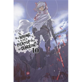 Is It Wrong to Try to Pick Up Girls in a Dungeon?, Vol. 10 (Light Novel)