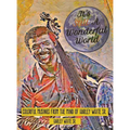 It's Still A Wonderful World: Colorful Musings From The Mind of Harley White Sr.