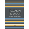 Tracks In The Snow: Short Stories for Norwegian Language Learners
