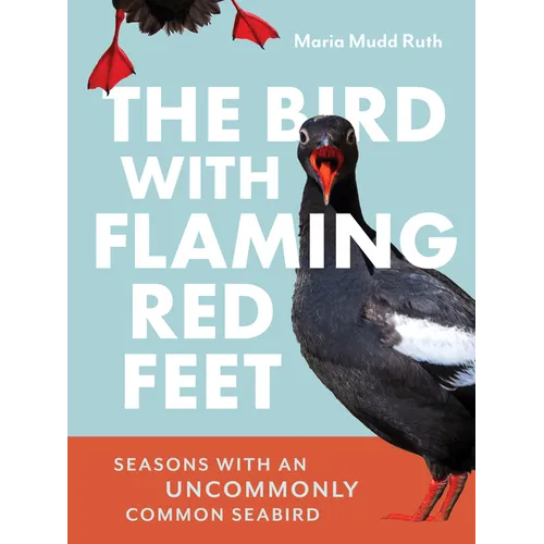 The Bird with Flaming Red Feet: Seasons with an Uncommonly Common Seabird