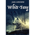 White Fang, by American Author Jack London: A novel by American author Jack London