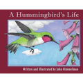 A Hummingbird's Life