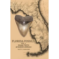 Florida Fossils: Shark Teeth & Marine Animals