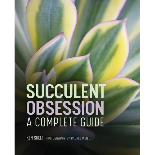 Succulent Obsession: A Complete Guide