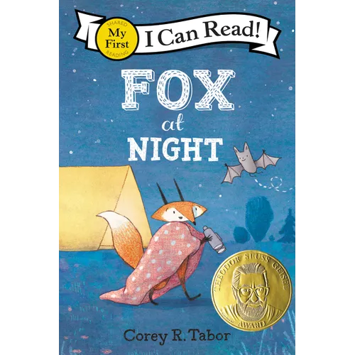 Fox at Night
