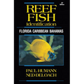 Reef Fish Identification: Florida Caribbean Bahamas