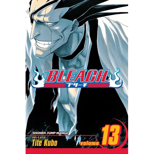 Bleach, Vol. 13: The Undead