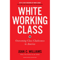 White Working Class, with a New Foreword by Mark Cuban and a New Preface by the Author: Overcoming Class Cluelessness in America